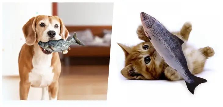 collage of a dog and a cat playing with Flappy Fish Friend