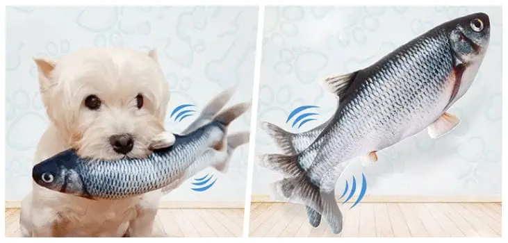 collage of Flappy Fish Friend and a dog playing with it